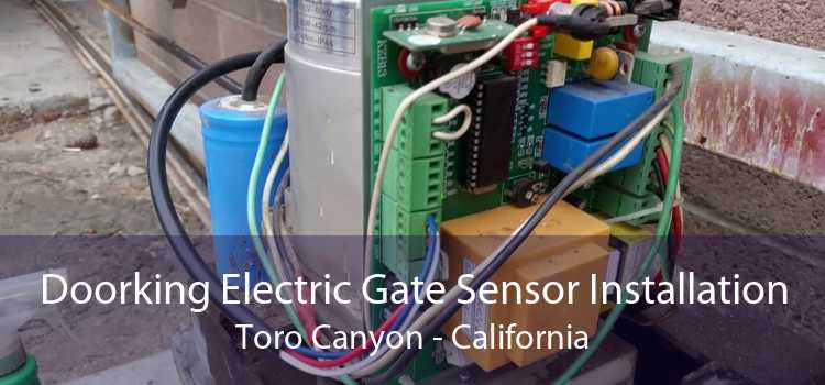 Doorking Electric Gate Sensor Installation Toro Canyon - California