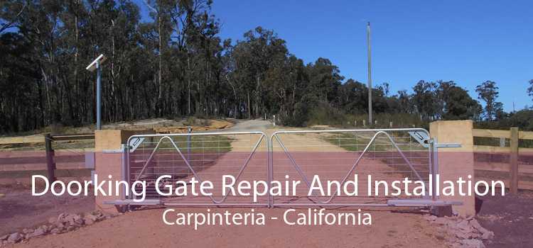 Doorking Gate Repair And Installation Carpinteria - California