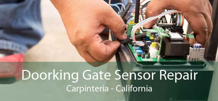 Doorking Gate Sensor Repair Carpinteria - California