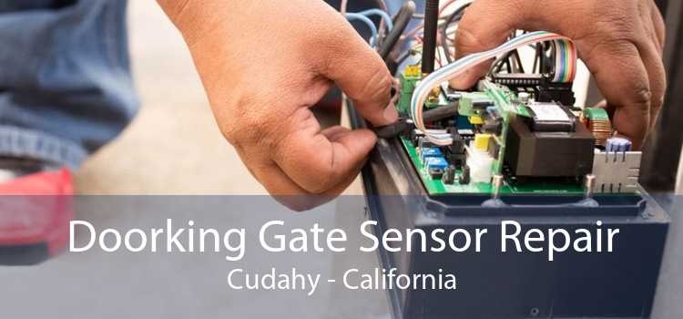 Doorking Gate Sensor Repair Cudahy - California