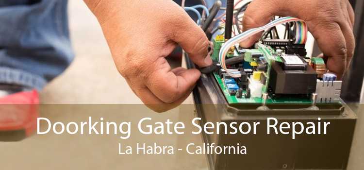 Doorking Gate Sensor Repair La Habra - California