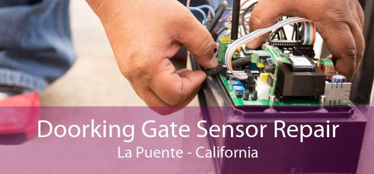 Doorking Gate Sensor Repair La Puente - California