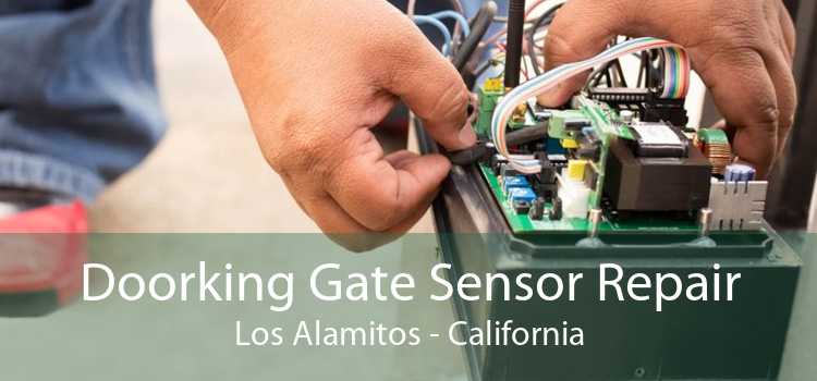 Doorking Gate Sensor Repair Los Alamitos - California