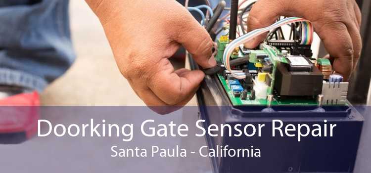 Doorking Gate Sensor Repair Santa Paula - California