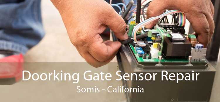 Doorking Gate Sensor Repair Somis - California