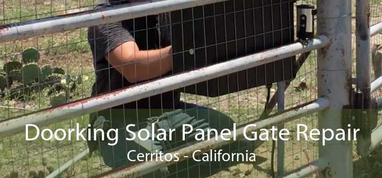 Doorking Solar Panel Gate Repair Cerritos - California