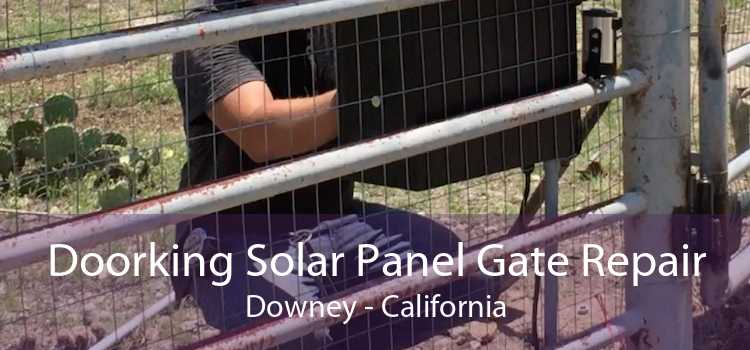 Doorking Solar Panel Gate Repair Downey - California